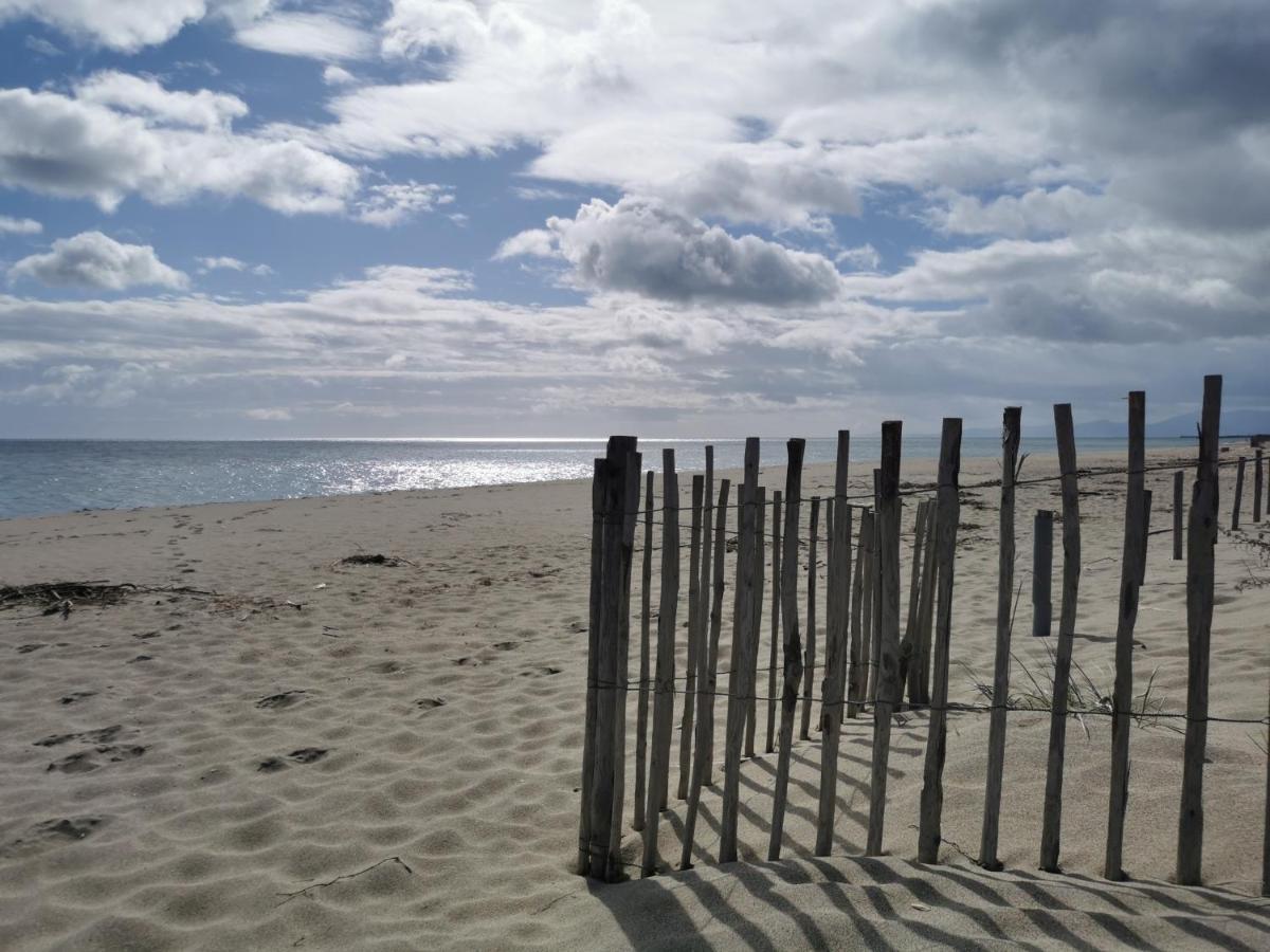Апартаменты Les Marines III - Tout Confort - Tout Equipe - En Bord De Mer - Avec Jardin - Proche Commerces Et Animations Ле Баркарес Экстерьер фото